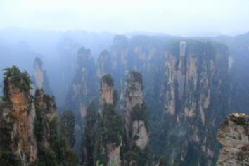 中国与老挝携手维护生态环境安全 边境区域联防林草虫害